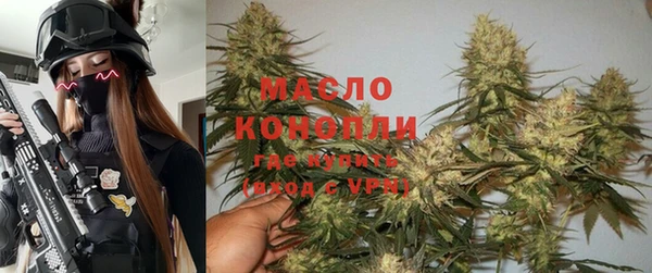 гидра Абаза