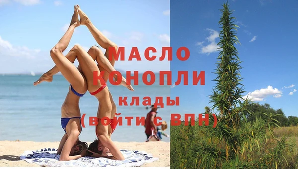 дмт Новозыбков