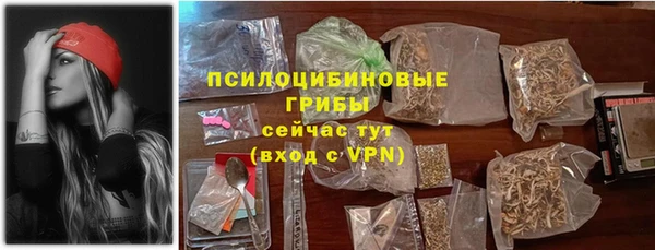 крисы Новокубанск