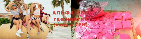 крисы Новокубанск