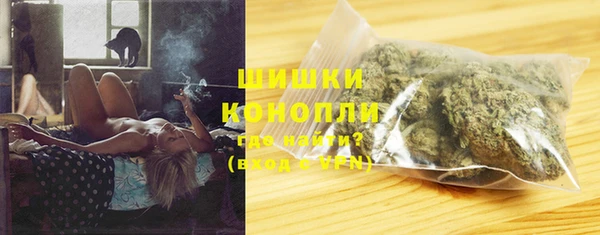 гидра Абаза