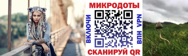 Галлюциногенные грибы ЛСД  omg зеркало  Щёлково  где купить наркотик 